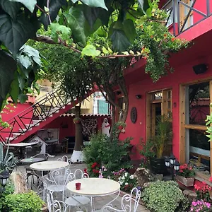 بيت شباب Red Goat, تيرانا